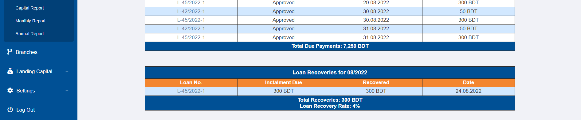 Loans Report